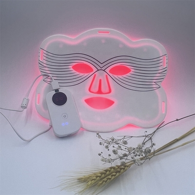 Idratazione Silicone farfalla LED Maschera facciale Frequenza di ingresso 5V/1A 2600mAH Durata 10/20min